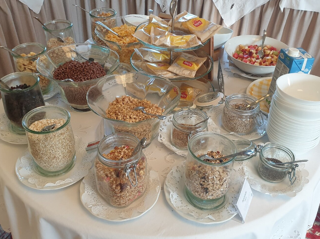 加尔尼多瑙河花园酒店主图