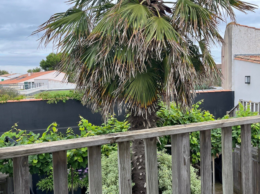 Le Vieux Greement主图