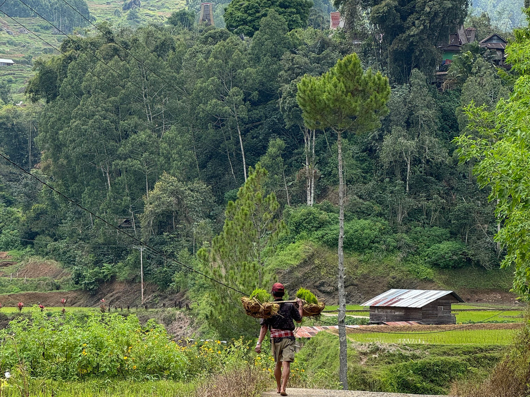 TORAJA TOUR WITH GUIDE SERVICE.景点图片