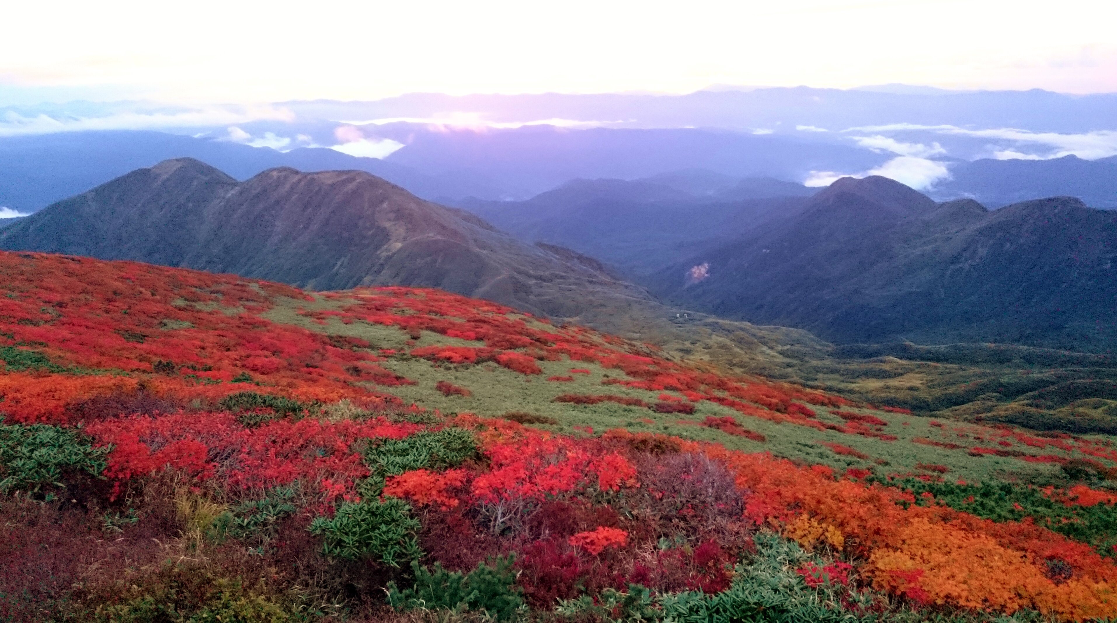 Lodge Yatsunami-官方