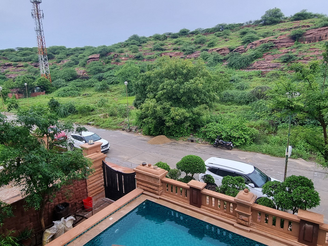 The Almond Tree主图