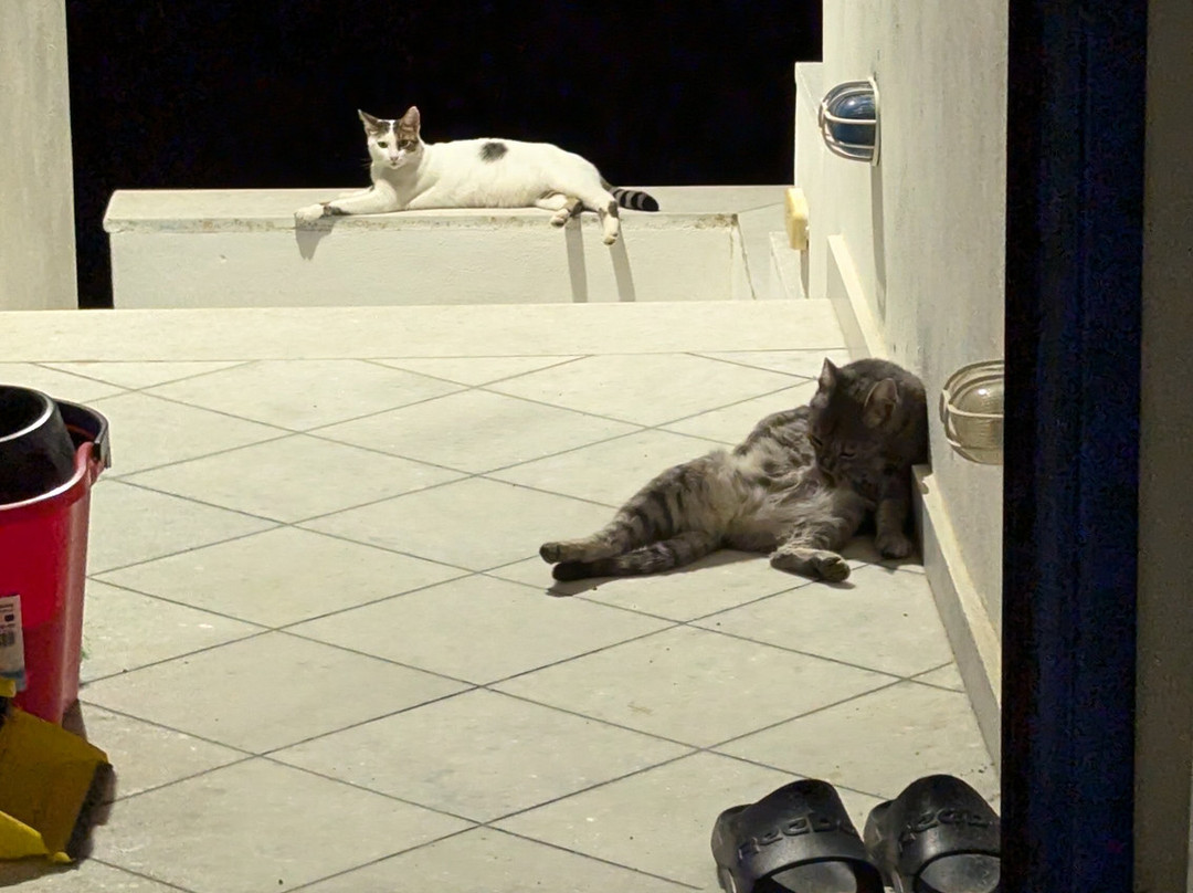 Castello Azzurro主图