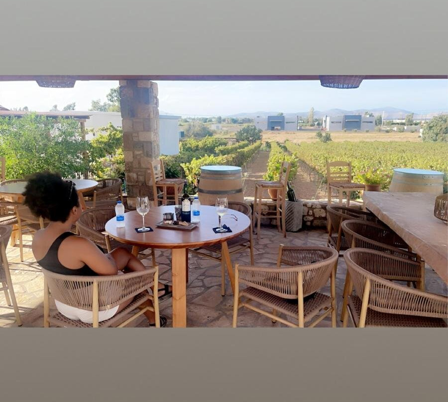 Petra Marinou Winery-Linopotis必去景点