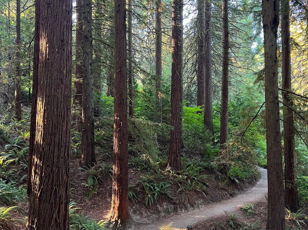 Hoyt Arboretum-波特兰必去景点