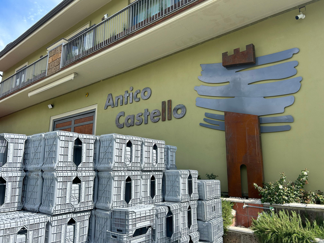 Antico Castello Winery景点图片