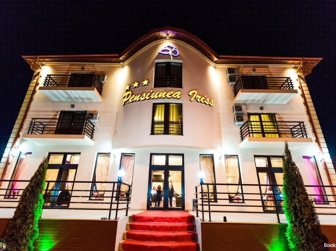 Pensiunea Iriss主图