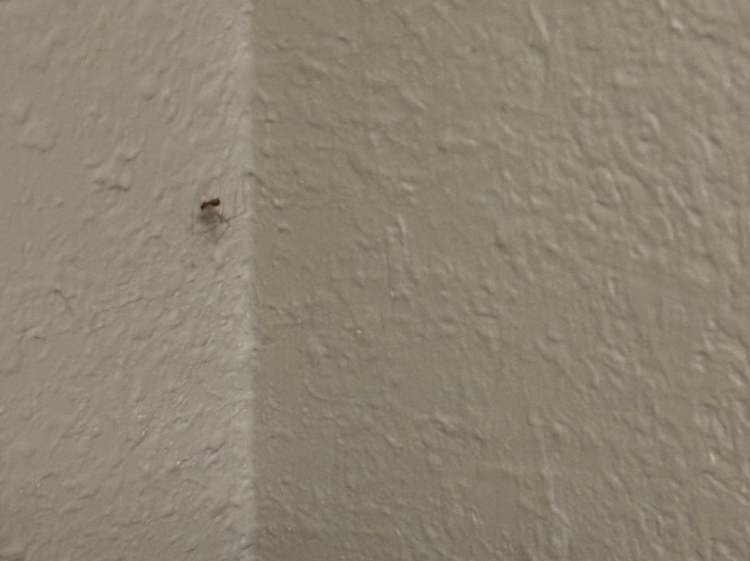 Candlewood Suites Washington-Fairfax by IHG主图