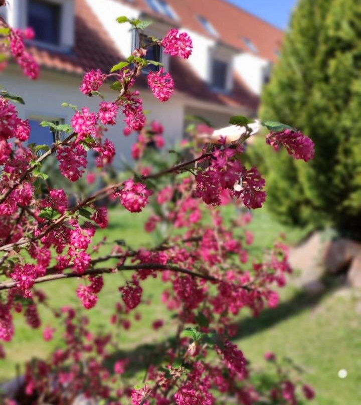 Gesundheitshotel Am Schloss Sallgast主图