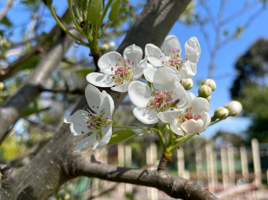Birch Place Playground-塞尔必去景点