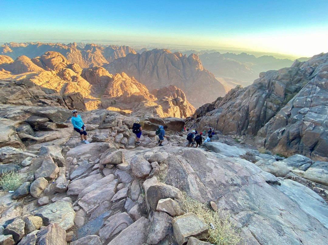 Sinai Trail