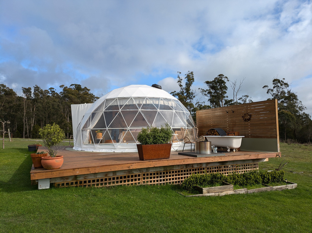 Domescapes in the Vines主图