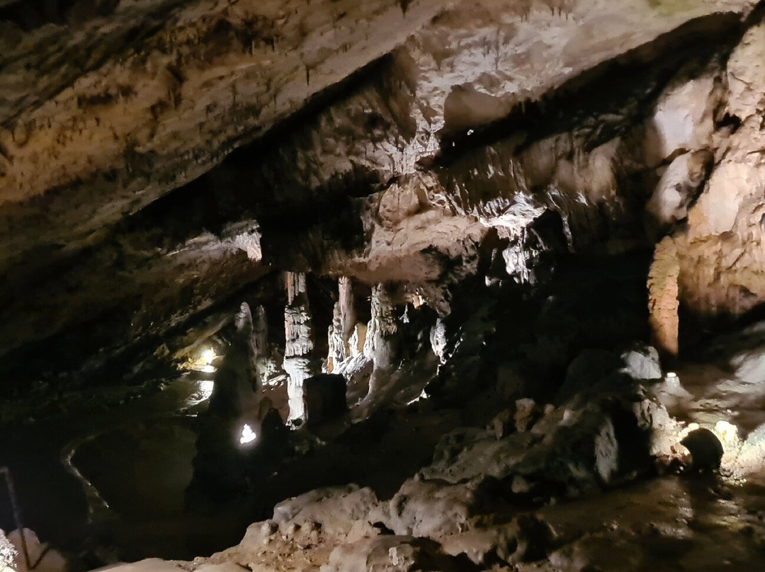 Grottes d'Osselle景点图片