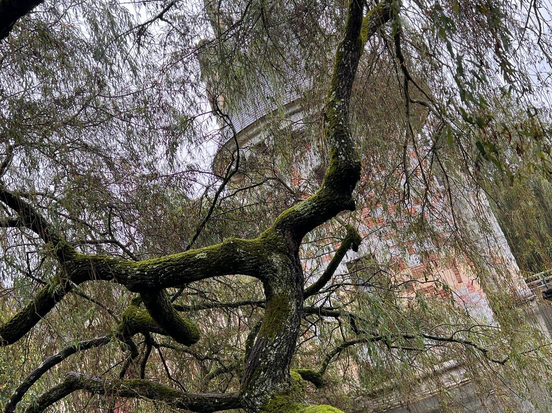 Château De Saint-Germain De Livet景点图片