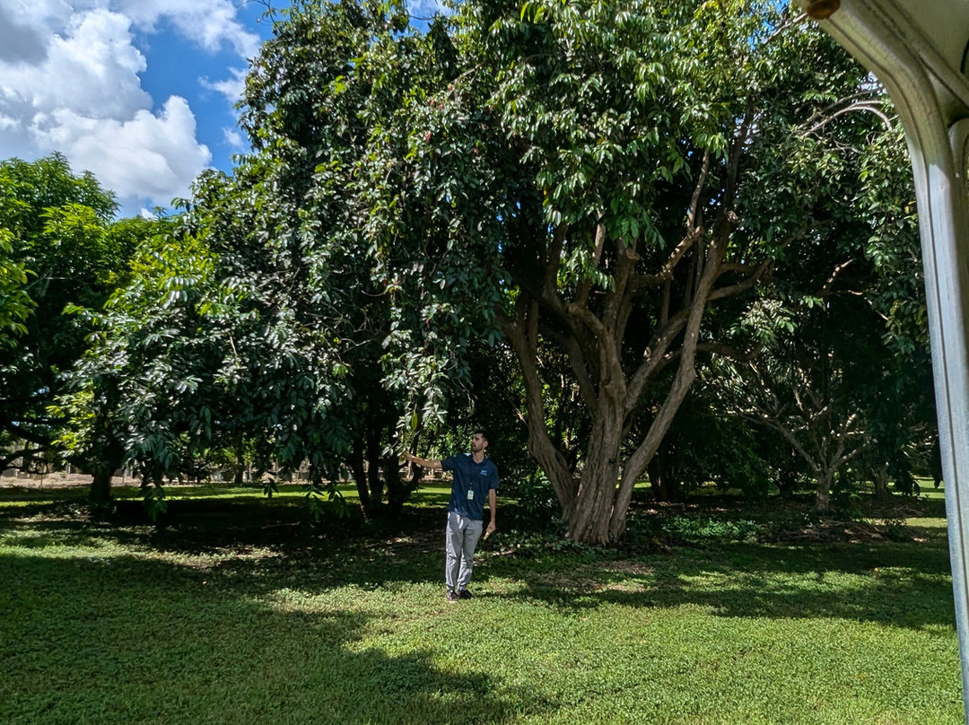 Fruit & Spice Park-霍姆斯特德必去景点