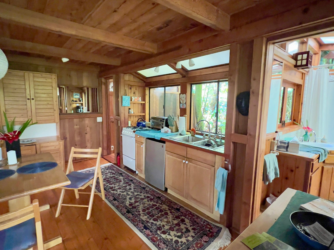 火山雨林休养所主图