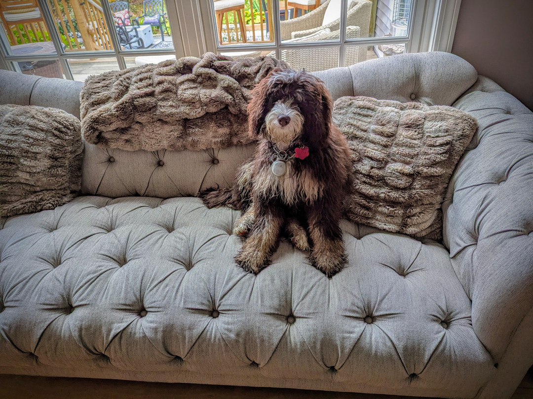 Snow Goose Inn主图