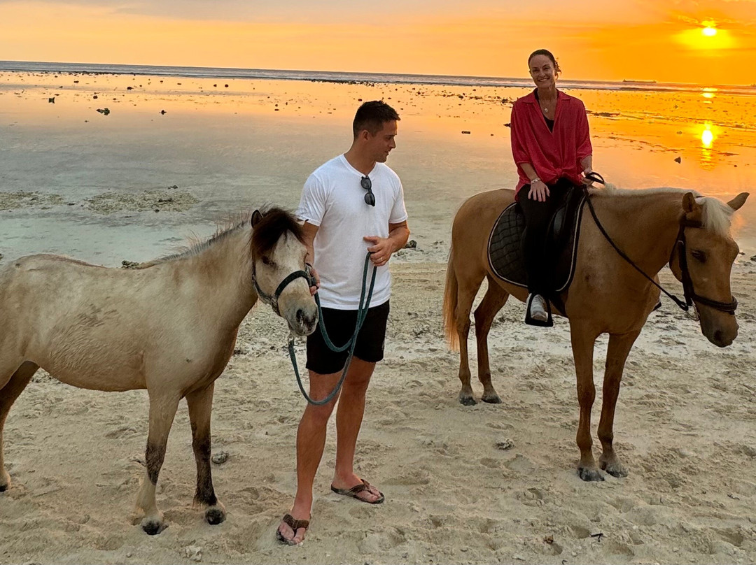 Stud Horse Riding and Rescue-吉利特拉万安必去景点