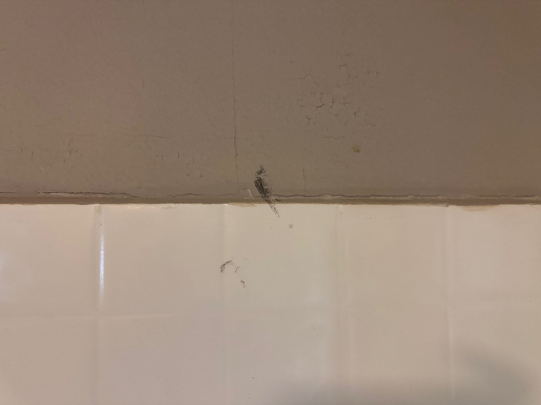 Best Western Oak Meadows Inn主图