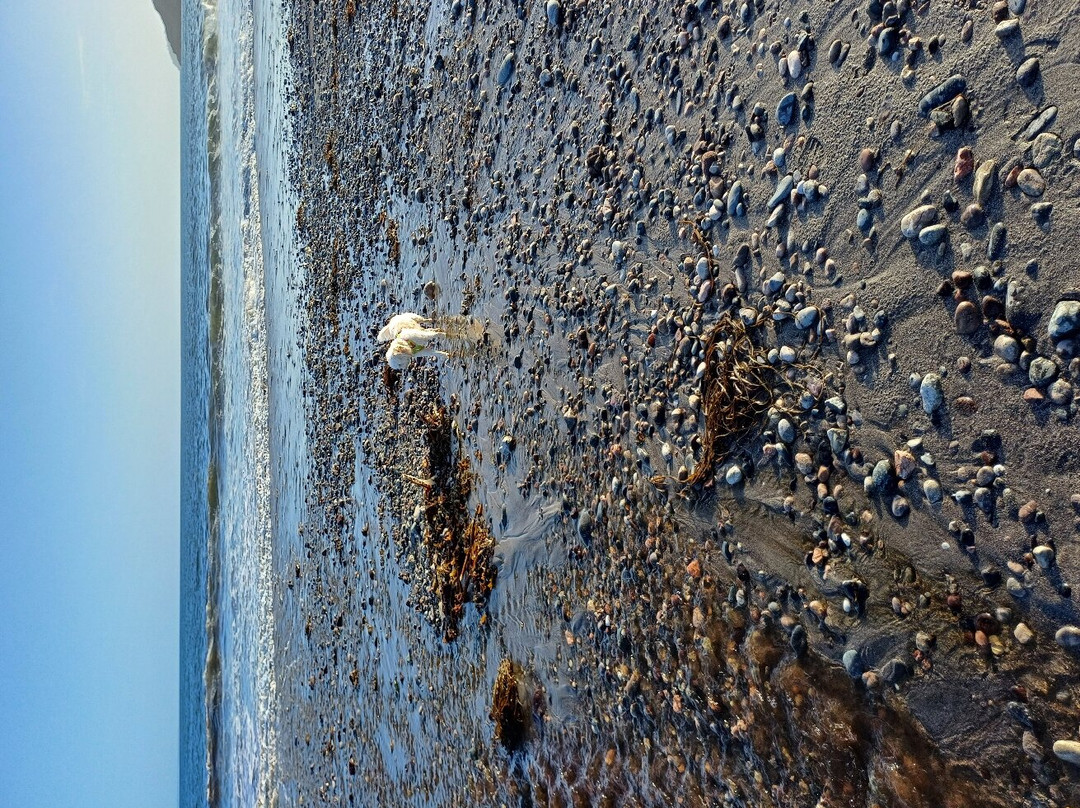 Kennack Sands Beaches Cadgwith景点图片