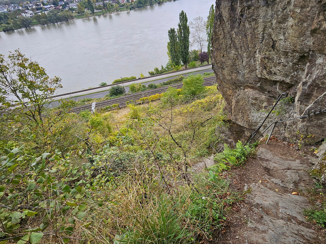 Mittelrhein Klettersteig-博帕德必去景点