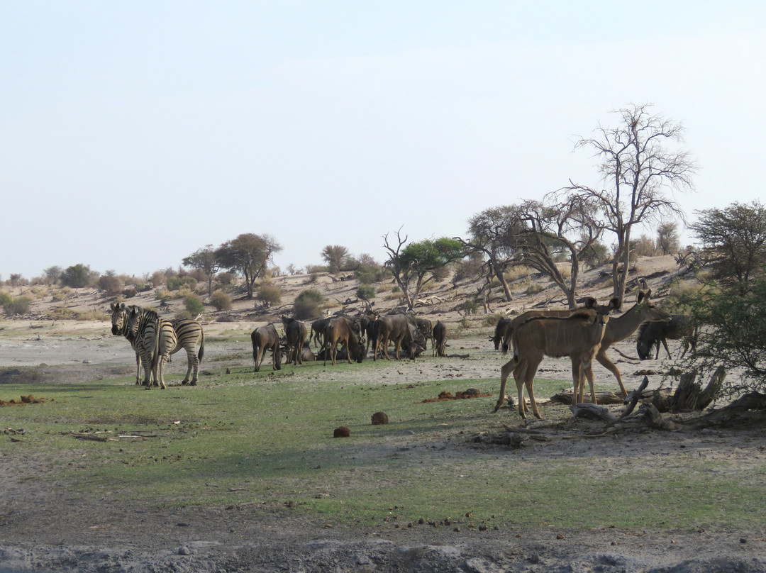 Makgadikgadi Salt Pan景点图片