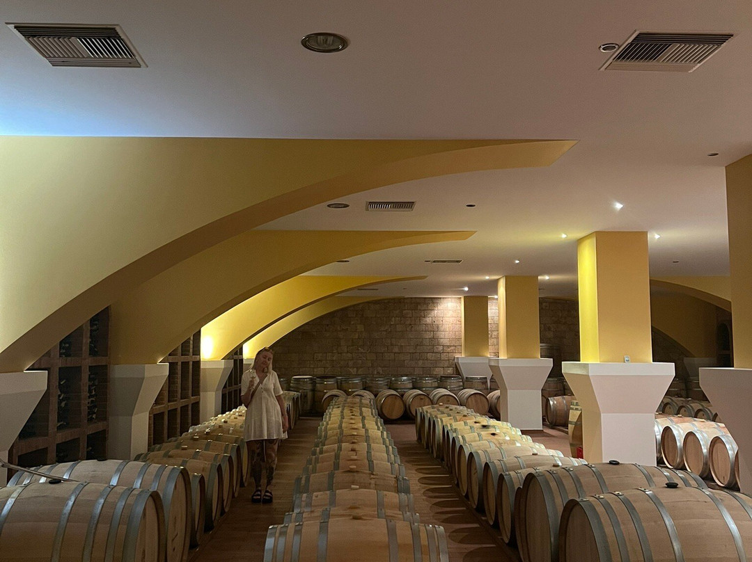 KTIMA AKRANI (Triantafyllopoulos Winery)-Kos Town必去景点