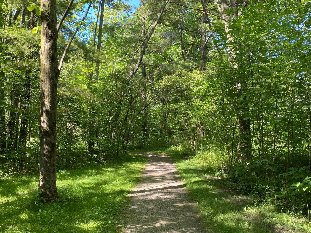 Sheldon Marsh State Nature Preserve-Huron必去景点