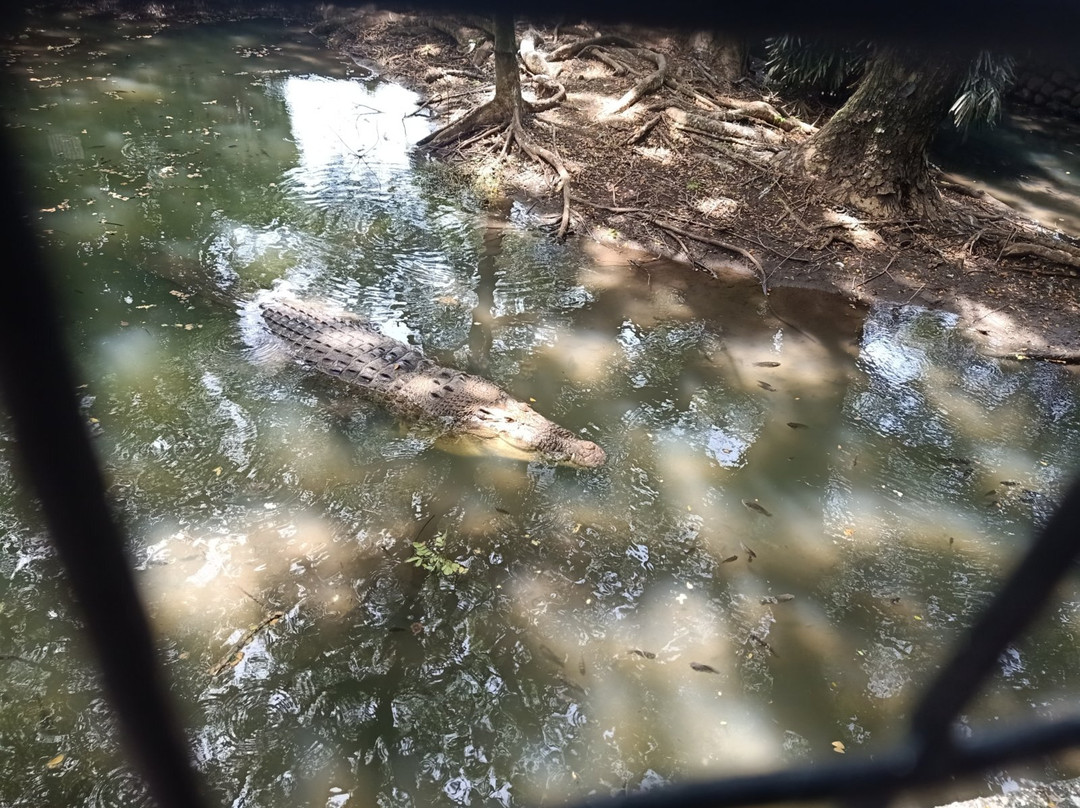 Albay Park and Wildlife-雷加斯皮必去景点