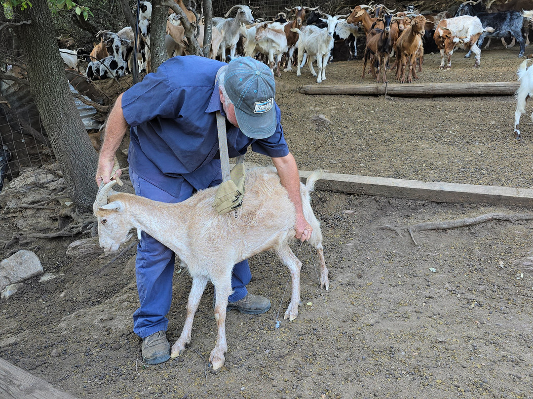 Sofie's Goat Farm-Argos必去景点