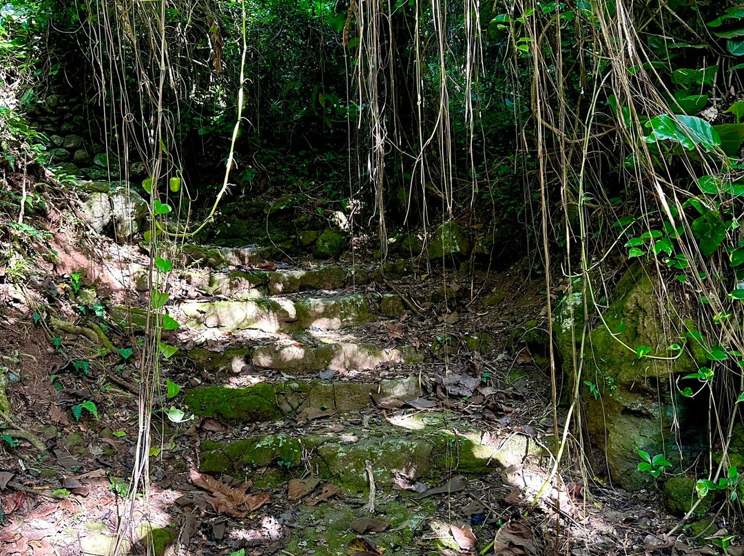 Mount Scenery-Windwardside必去景点