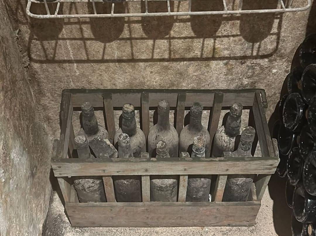 Bodegas Salado