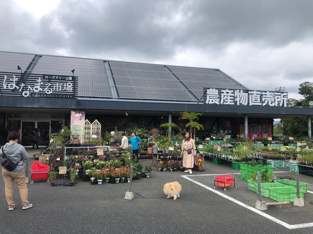 Michi-no-Eki Rosemary Garden-南房总市必去景点