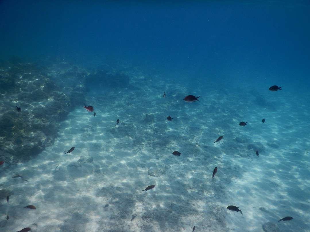 Xanthippi Hotel Apartments主图