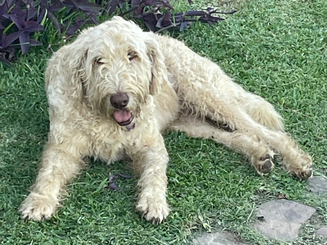 Tara Vineyard & Winery-Athens必去景点