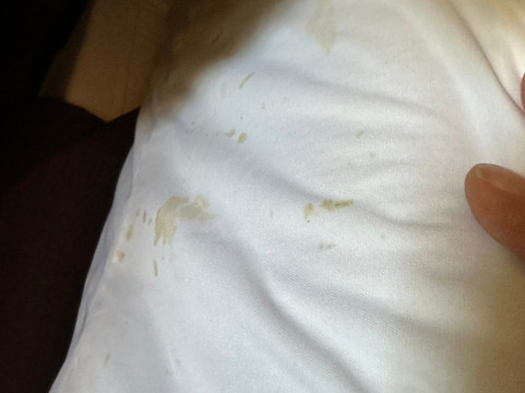 Wilderness at the Smokies - Stone Hill Lodge