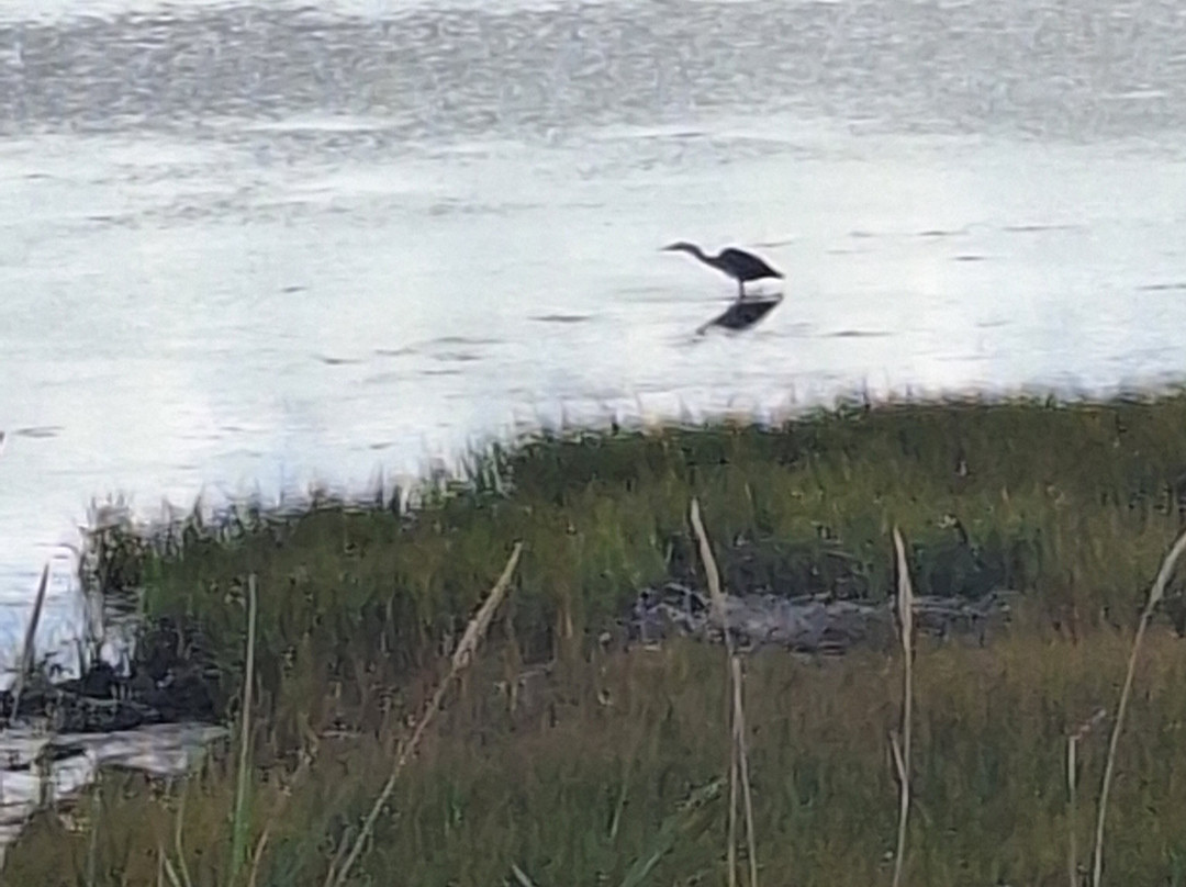 North Rustico Beach-North Rustico必去景点