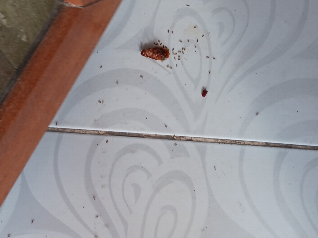 Uk Blue Coast Hotel主图