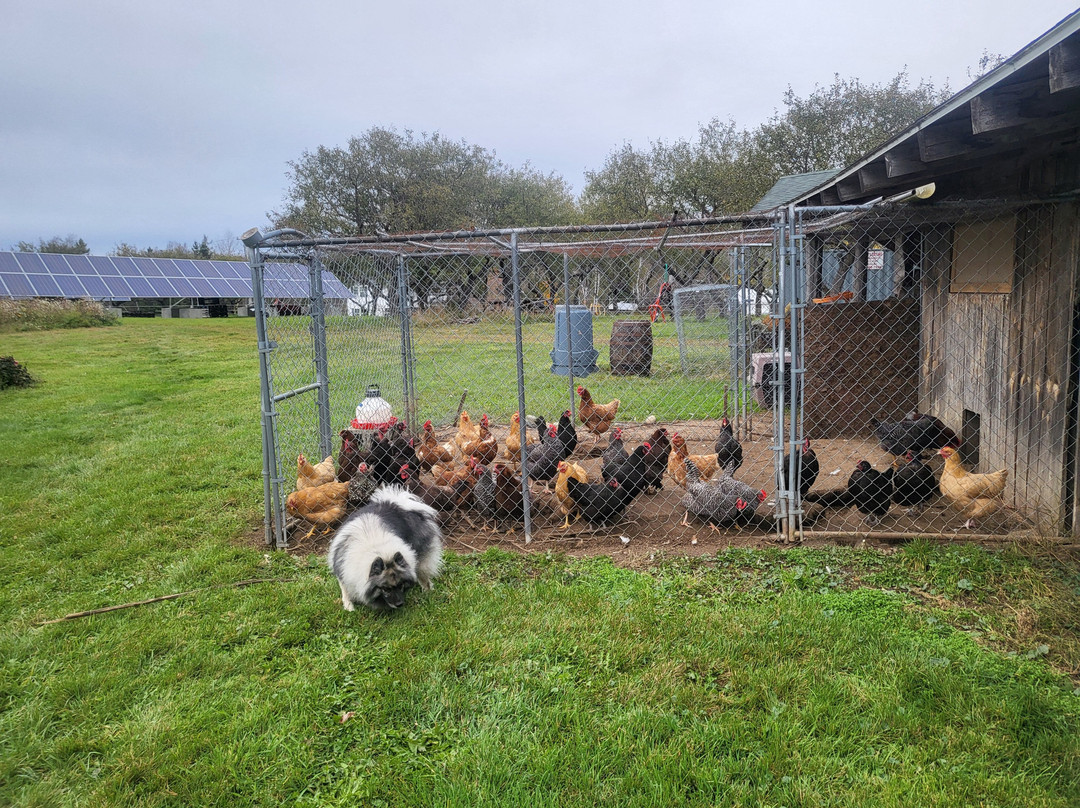 The Inn At Oxbow Acres主图