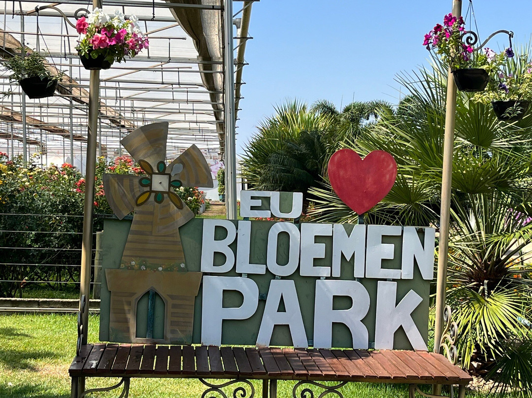 Bloemen Park景点图片