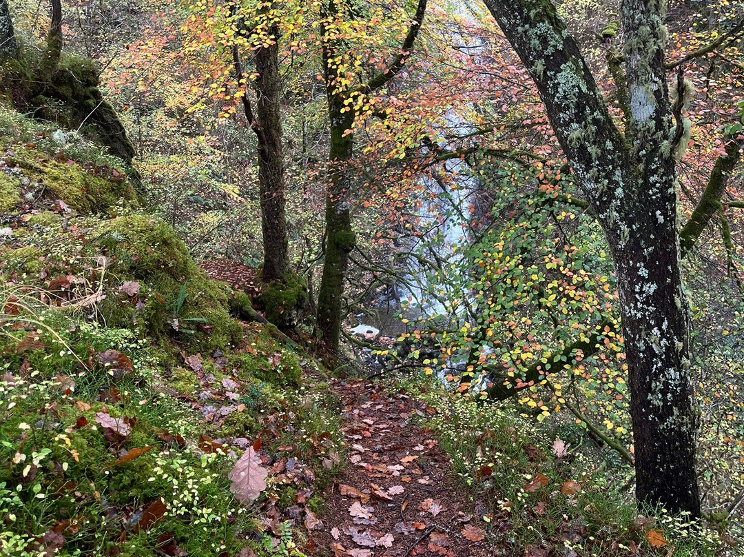 Fairy Bridge At Glen Creran-Appin必去景点