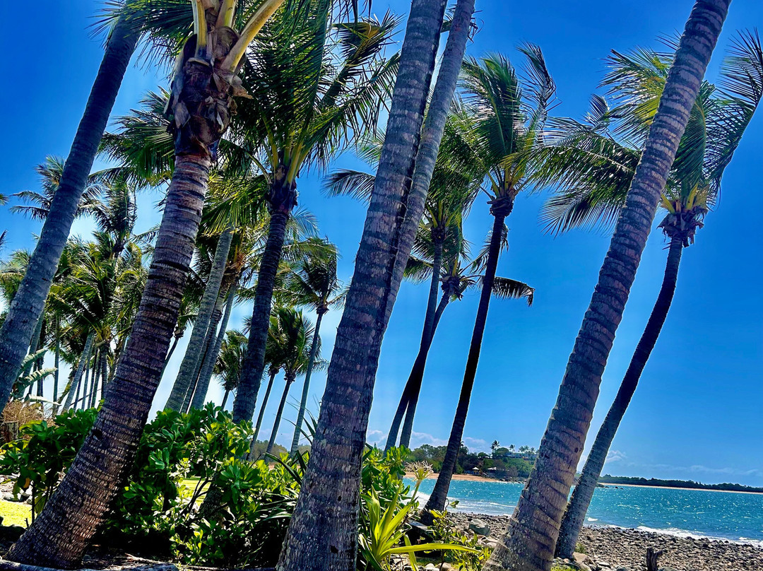 Dolphin Heads Resort主图