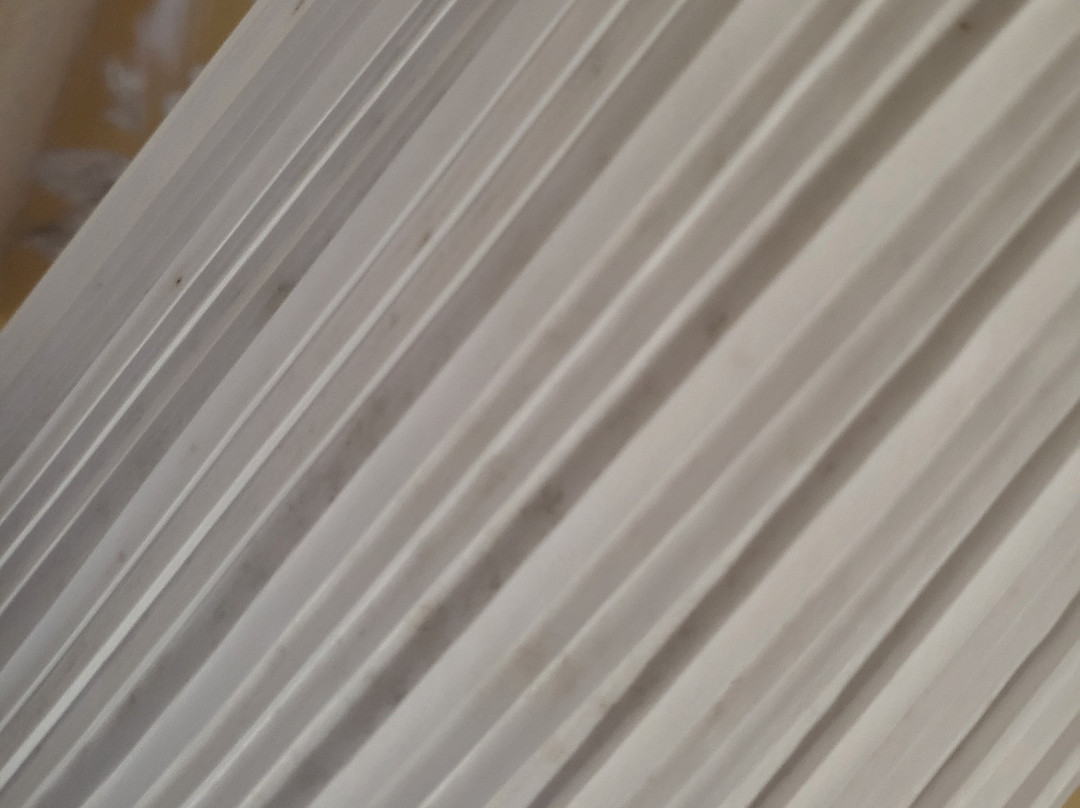 Holland Arms Hotel主图