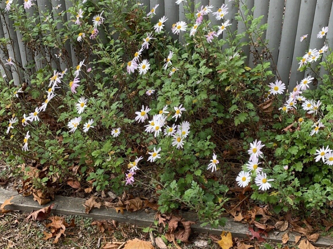 The Oliver Estate-Middleboro必去景点