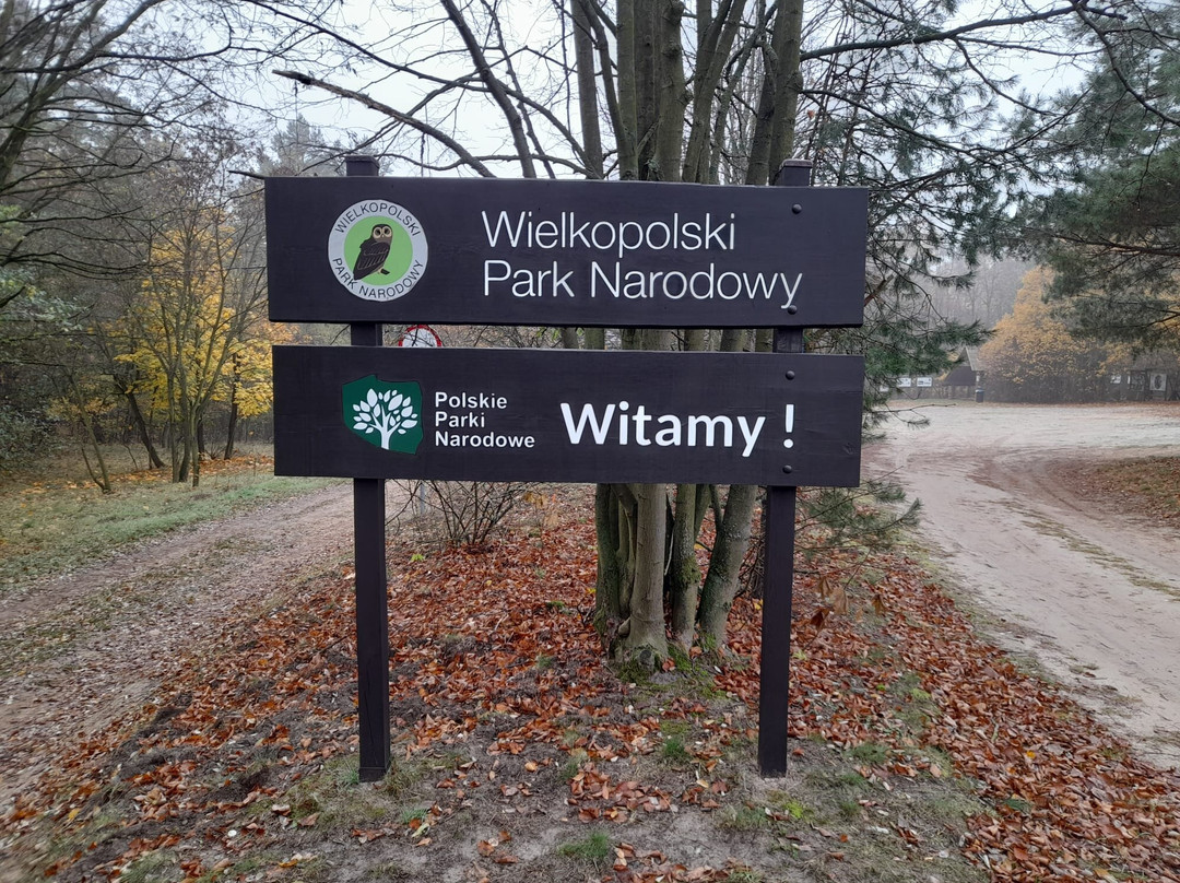 Wielkopolski National Park景点图片