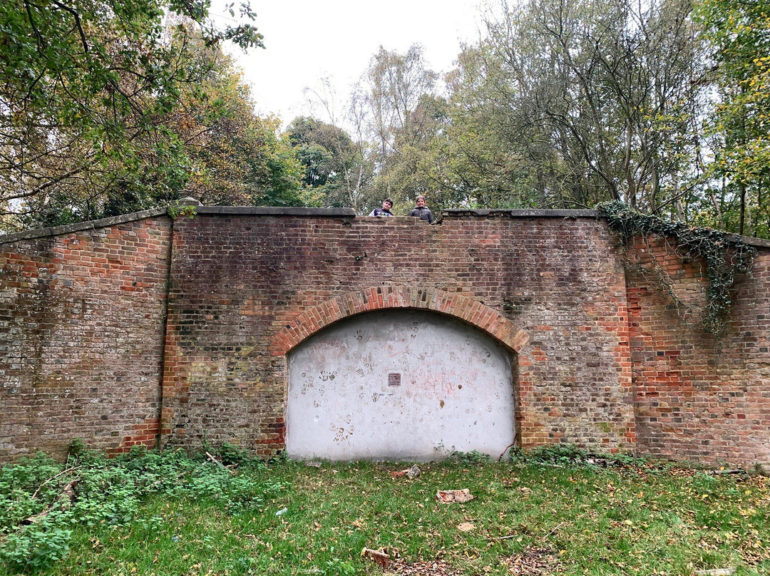 Weald Country Park景点图片