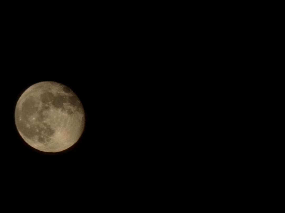 Springhill Suites by Marriott Auburn主图