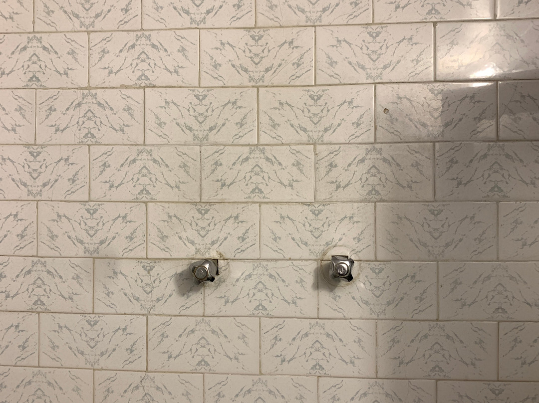 巴克塔普尔酒店主图