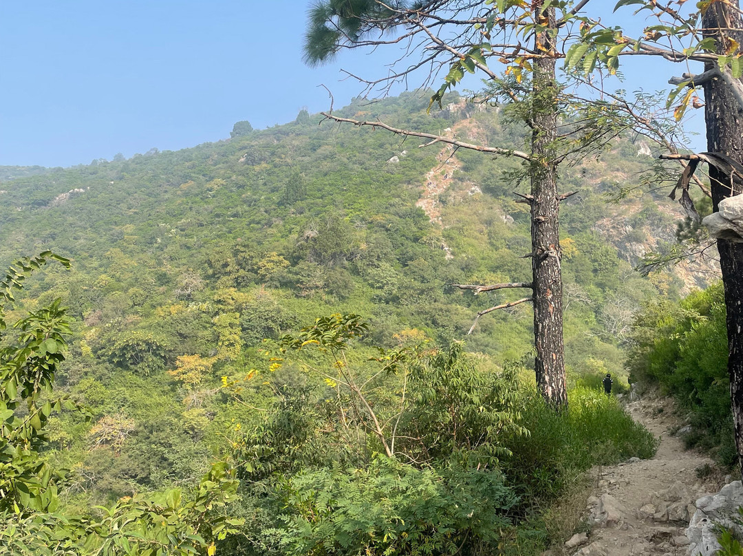 Trail 5-伊斯兰堡必去景点