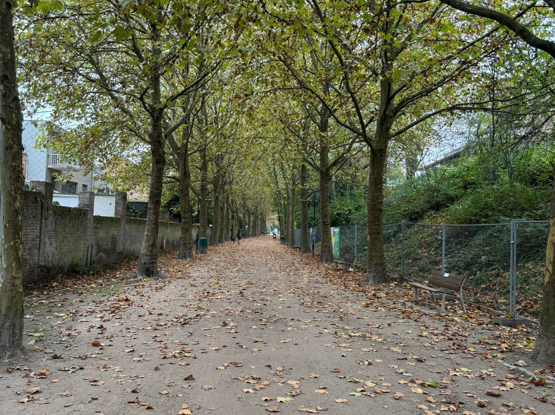 Sint-Donatuspark-鲁汶必去景点