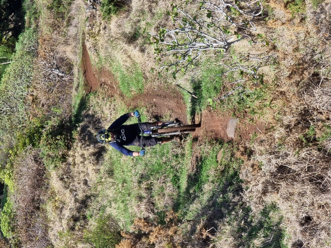 Freeride Mountain Biking Madeira Island-沙尔必去景点